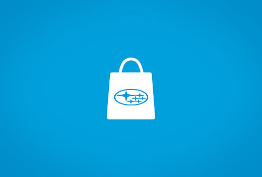 Einkaufstaschen-Icon