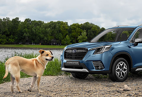 Siège d'auto pour chien à console centrale avec transport de