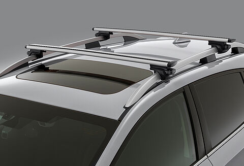 Dachgrundträger montiert auf Dachreling von silbernem Fahrzeug