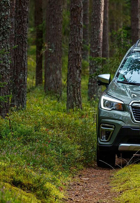 Subaru Forester verde su strada forestale