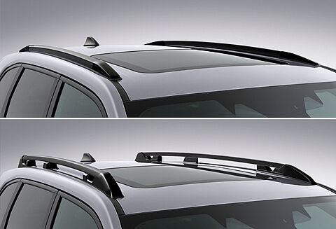 Subaru-Forester25-Dachreling.jpg