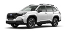For25-Mini.jpg